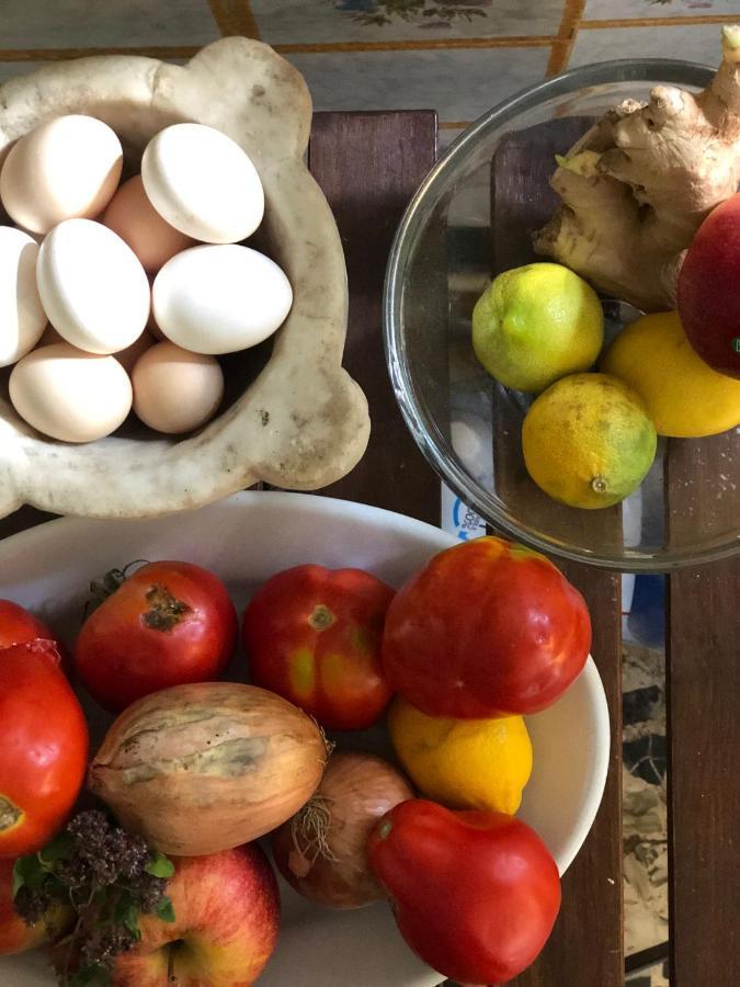 마리나디마사 Casa Cambini B&B 외부 사진