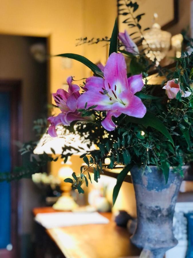 마리나디마사 Casa Cambini B&B 외부 사진
